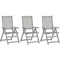 vidaXL Chaises de jardin réglables 3 pcs. Gris Acacia massif
