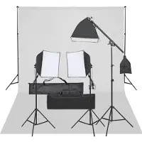 vidaXL Kit studio photo avec éclairage et arrière-plan