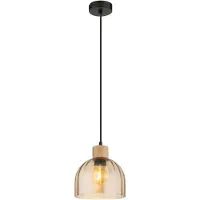 Globo Lampe suspendue Swanson noir Ø 20cm