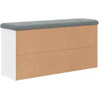 vidaXL Banc à chaussures Blanc 102x32x50 cm Bois d'ingénierie