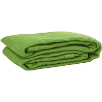 vidaXL Tapis de tente vert clair 250x500 cm PEHD