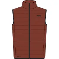 Regatta Marizion Vest Marron XL Homme