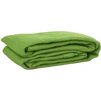 vidaXL Tapis de tente vert clair 200x200 cm PEHD