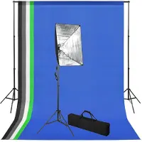 vidaXL Kit studio photo avec fond et lampe softbox