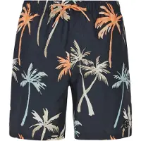 Protest Hear Swimming Shorts Gris XS Homme