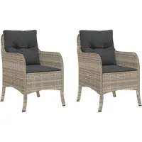 vidaXL Chaises de jardin avec coussins 2 pcs. Gris clair Poly rotin