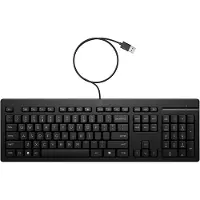 HP 125 Wired Keyboard (Bulk), Taille réelle (100 %), Avec fil, USB, Noir (DE, Filaire), Clavier, Noir