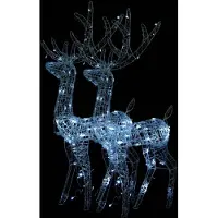 vidaXL Rennes à LED 2 pcs. Acrylique 120 cm Blanc froid