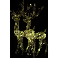 vidaXL Rennes à LED 2 pcs. Acrylique 120 cm Blanc chaud