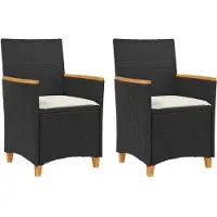 vidaXL Chaises de jardin avec coussins 2 pcs. noir poly rotin massif