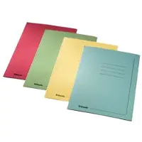 Esselte Chemises Manilla (A4, 1x)