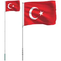 vidaXL Drapeau avec mât Turquie 5,55 m aluminium