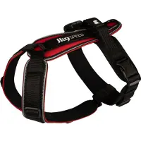 JULIUS K-9 Speed Harnais pour chien Noir M Noir M