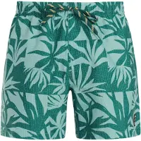 Protest Panther Swimming Shorts Vert,Bleu XS Homme