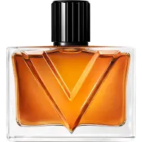 Valentino - Vendetta Uomo Eau De Parfum Pour Homme - 90 ML