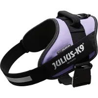 JULIUS K-9 Idc Power Dog Harness Violet L-1