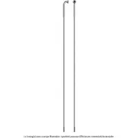 Sapim Rayons Leader Inox J-bend 100 Unités
