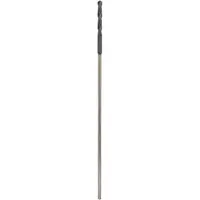 Bosch PRO Wood Foret d'installation HSS, 14 x 100 x 600 mm, SDS plus