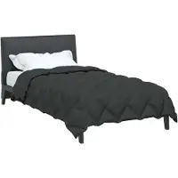 vidaXL , couette d'hiver, 155 x 220 cm, 450 g/m², anthracite