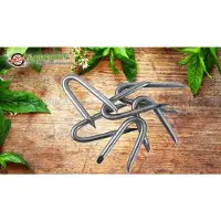 Aquagart 4 kg de crampons, boucles métalliques, clôture de protection contre la faune sauvage, clôture forestière, clôture