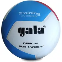 Gala Ballon de volley-ball Pro-line Bv5565s