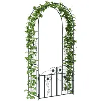 vidaXL Arche De Jardin Uni Noir 102 X 50 X 218 Cm