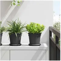 vidaXL Plateau À Fleurs Rond 24 Pcs Noir Ø 14 X 2 Cm Plastique