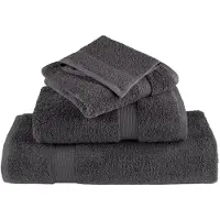vidaXL Serviettes de douche de qualité sup. SOLUND 2 pcs anthracite