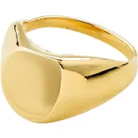 Pilgrim Bague 'Presence' or