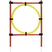 Kerbl Agility Game Set Multicolore