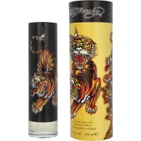 Christian Audigier Ed Hardy Homme EDT 100 ml M