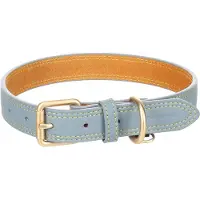 Flamingo Collier De Chien Virgina