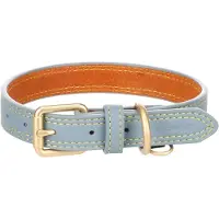 Flamingo Collier De Chien Virgina