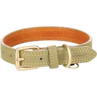 Flamingo Collier De Chien Virginia