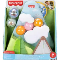 Fisher-Price Montagne de Balles Amis de la Forêt, dès 9 mois, JLB88