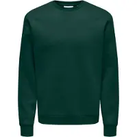 Only & Sons Sweat-shirt 'ONSCERES' sapin