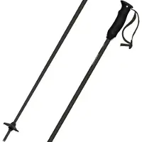 Atomic Cloud Lite, bâtons de ski, noir