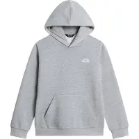 The North Face Evolution Simple Dome Hoodie Gris XL Enfants
