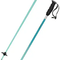 Atomic Redster X Poles Noir 125 cm