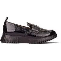 Wonders A4420 Lack Gakil Couleur Noir