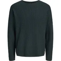 Jack & Jones Pull-over 'JPRBLUMason' vert foncé
