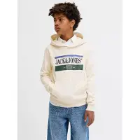 JACK&JONES JUNIOR Junior Sweat 'JORFrederiksberg' bleu / sapin / noir / blanc