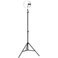Globo Anneau lumineux Delgado Noir