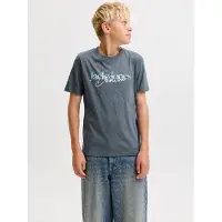 Jack & Jones Junior T-Shirt 'JJTOM' bleu clair / gris / blanc