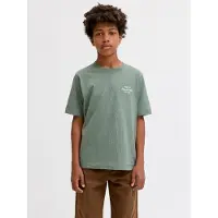 Jack & Jones Junior T-Shirt 'JORNORREBRO' menthe / blanc