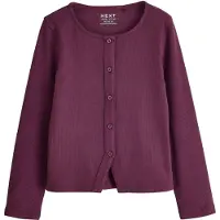 Next Cardigan aubergine