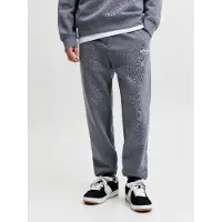 Jack & Jones Pantalon 'JPSTKane Soho' gris