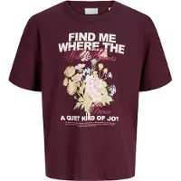Jack & Jones Kids T-Shirt 'JXSANDRA' crème / bleu clair / kaki / lie de vin