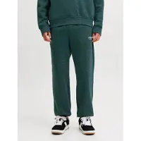 Jack & Jones Pantalon 'JPSTKane Soho' vert foncé