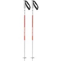 Salomon Polar Junior Poles Clair 90 cm Enfants